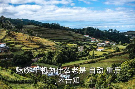 魅族手機經(jīng)常自動重啟,魅族手機無限制重啟解決方法11