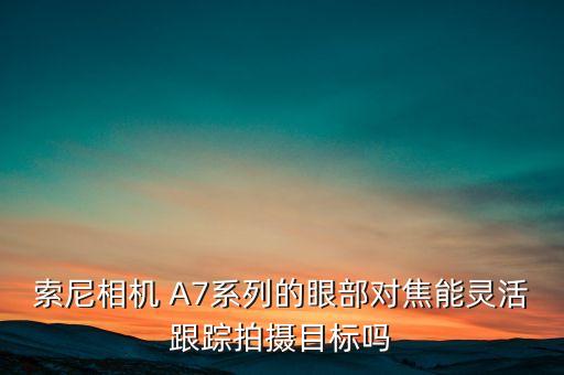 索尼相機(jī) A7系列的眼部對焦能靈活跟蹤拍攝目標(biāo)嗎