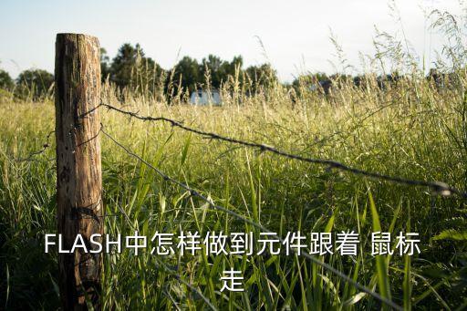 FLASH中怎樣做到元件跟著 鼠標走