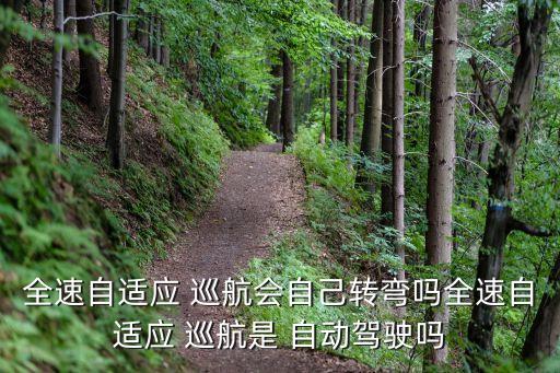 自適應(yīng)巡航會(huì)自動(dòng)彎嗎,越野自適應(yīng)巡航不轉(zhuǎn)彎功能介紹