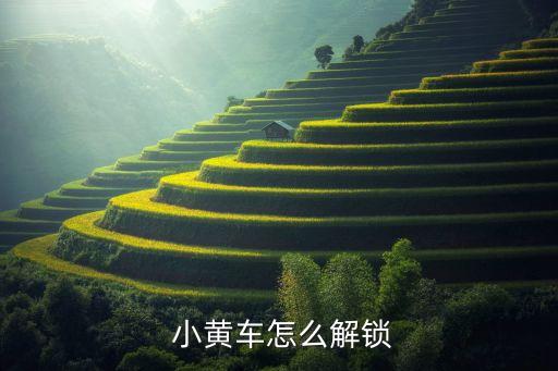 小黃車怎么自動開鎖,如何使用ofo小黃車?