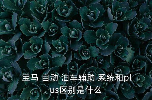 寶馬自動泊車系統(tǒng),寶馬自動泊車系統(tǒng)提供四種泊車模式供選擇