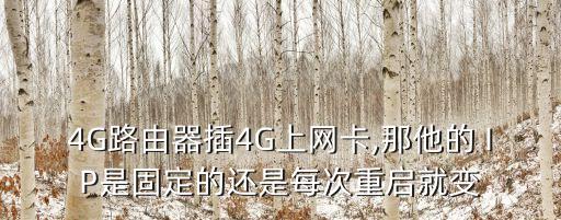 4G路由器插4G上網(wǎng)卡,那他的 IP是固定的還是每次重啟就變