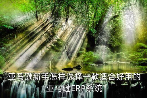  亞馬遜新手怎樣選擇一款適合好用的 亞馬遜ERP系統(tǒng)