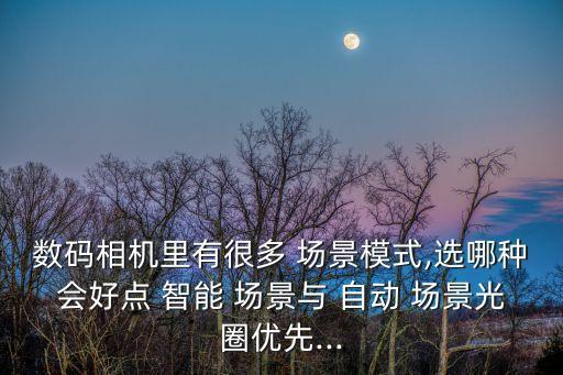 數(shù)碼相機里有很多 場景模式,選哪種會好點 智能 場景與 自動 場景光圈優(yōu)先...