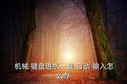  機(jī)械 鍵盤進(jìn)水一直 自動 輸入怎么辦