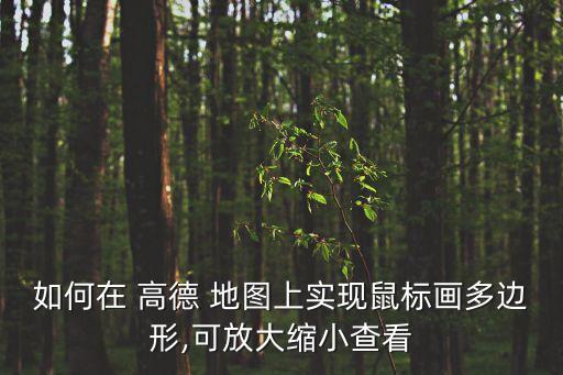 高德地圖自動縮放,如何進行高德地圖設(shè)置?