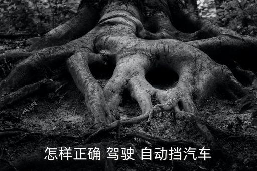 如們駕駛自動(dòng)轎車,如何正確駕駛-3/?答（15）