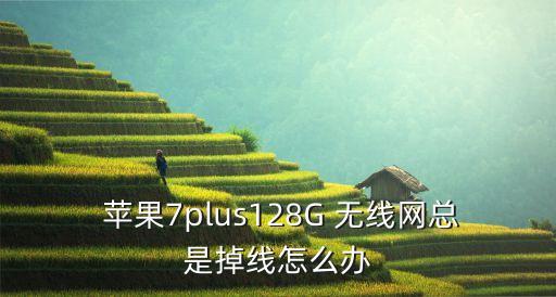  蘋果7plus128G 無(wú)線網(wǎng)總是掉線怎么辦