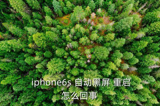 iphone6s 自動(dòng)黑屏 重啟怎么回事