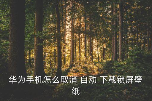 華為手機怎么取消 自動 下載鎖屏壁紙