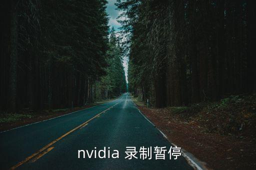 nvidia自動(dòng)錄制關(guān)閉,游戲怎么玩?
