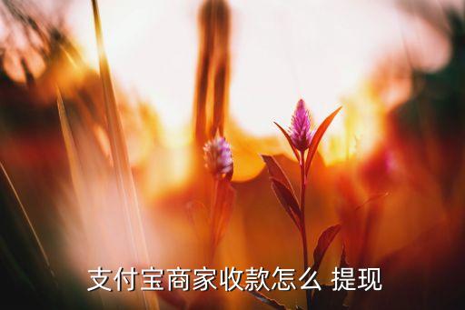  支付寶商家收款怎么 提現(xiàn)