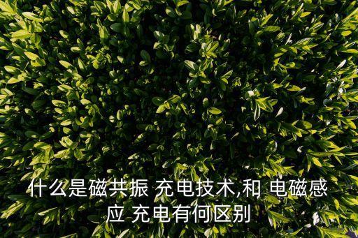 什么是磁共振 充電技術(shù),和 電磁感應(yīng) 充電有何區(qū)別