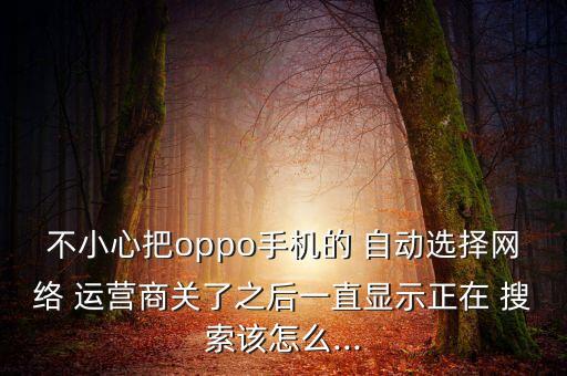 不小心把oppo手機的 自動選擇網(wǎng)絡(luò) 運營商關(guān)了之后一直顯示正在 搜索該怎么...