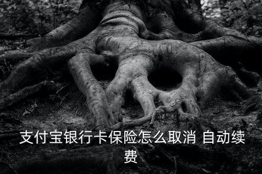  支付寶銀行卡保險(xiǎn)怎么取消 自動(dòng)續(xù)費(fèi)