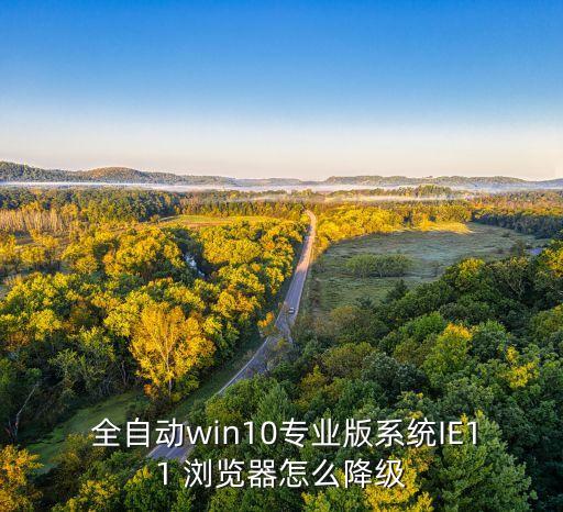瀏覽器全自動(dòng)操作,我還是喜歡搜狗瀏覽器 金山網(wǎng)盾