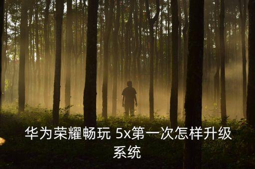 華為5x移動(dòng)自動(dòng)升包,手機(jī)怎么刷卡?