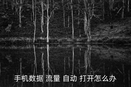 手機(jī)數(shù)據(jù) 流量 自動 打開怎么辦
