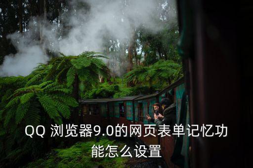 qq瀏覽器怎么自動(dòng)填表,瀏覽器知多少?問與答（13）（四）