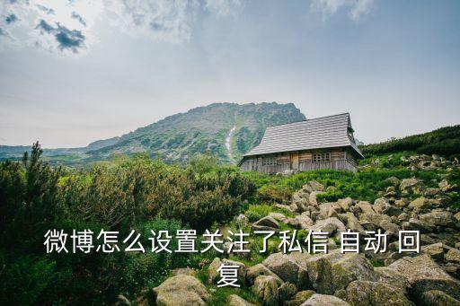 微博特定自動回復,《被監(jiān)視自動回復》功能介紹