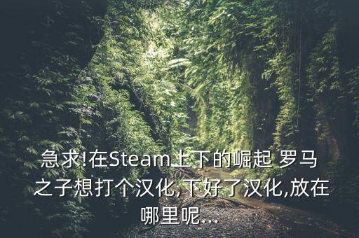 羅馬之子自動(dòng)切換集顯,如何設(shè)置羅馬之子?