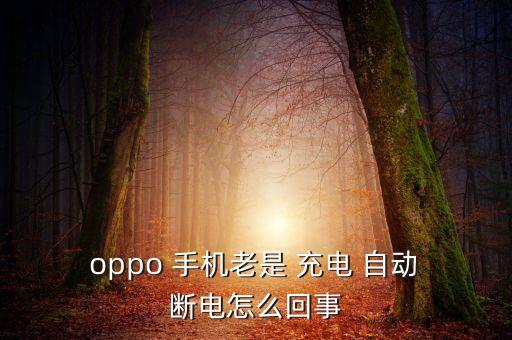  oppo 手機老是 充電 自動 斷電怎么回事