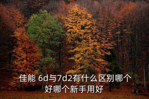 佳能6d哪個是全自動黨,佳能6d是第一代全畫幅單反相機