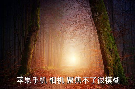  蘋果手機 相機 聚焦不了很模糊
