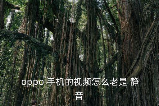 oppo手機(jī)自動靜音,如何注銷手機(jī)靜音?