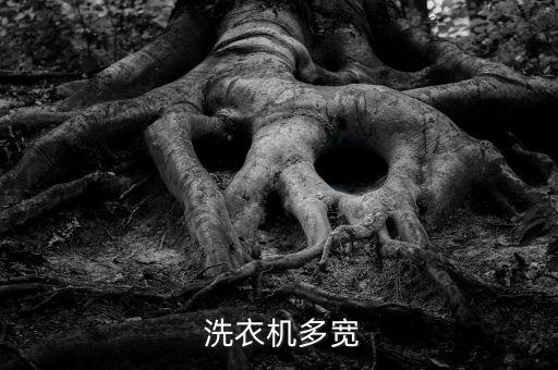 3kg全自動(dòng)洗衣機(jī)598,全自動(dòng)洗衣機(jī)規(guī)格參考圖片僅供參考