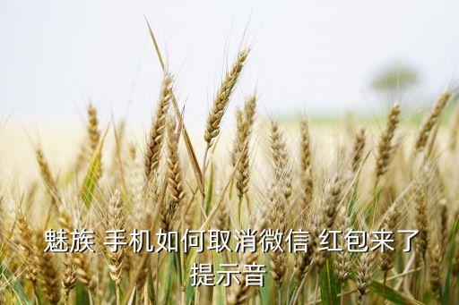  魅族 手機如何取消微信 紅包來了提示音