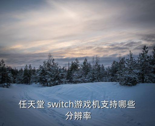 任天堂 switch游戲機(jī)支持哪些 分辨率