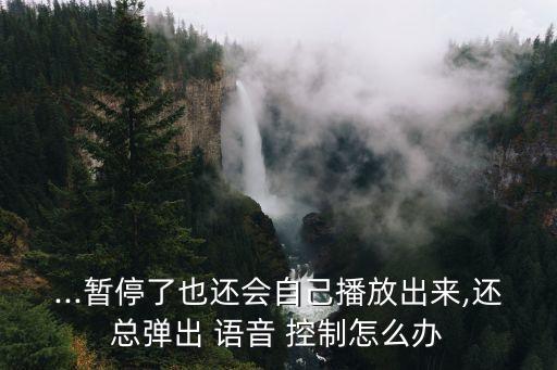 6語音控制自動彈出,蘋果手機怎么用?