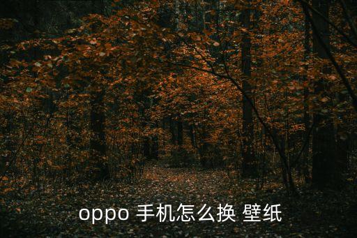  oppo 手機怎么換 壁紙