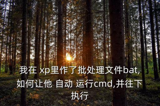 xp自動運行,老版本自啟動文件更全面添加注冊表更改鍵值