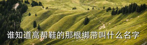誰(shuí)知道高幫鞋的那根綁帶叫什么名字