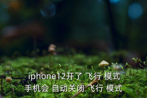  iphone12開了 飛行 模式手機會 自動關(guān)閉 飛行 模式