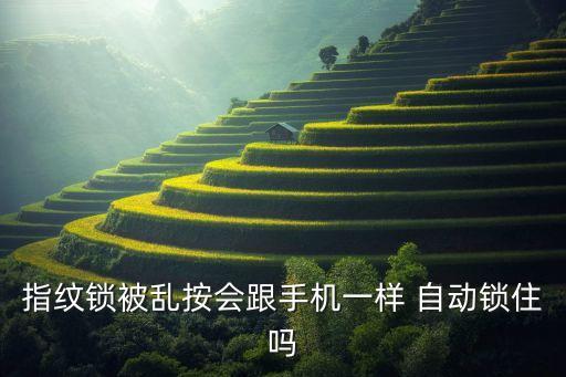 指紋鎖被亂按會跟手機(jī)一樣 自動鎖住嗎