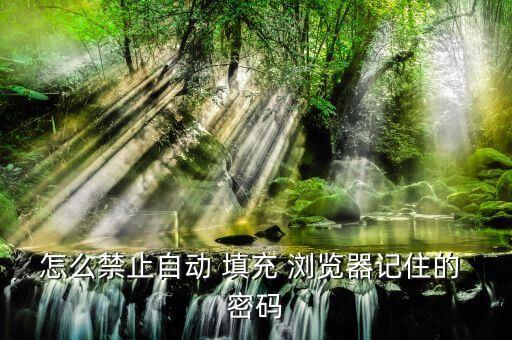 怎么禁止自動(dòng) 填充 瀏覽器記住的 密碼