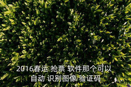 2016春運(yùn) 搶票 軟件那個(gè)可以 自動(dòng) 識(shí)別圖像 驗(yàn)證碼