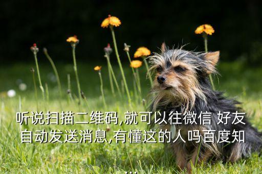 聽(tīng)說(shuō)掃描二維碼,就可以往微信 好友 自動(dòng)發(fā)送消息,有懂這的人嗎百度知...