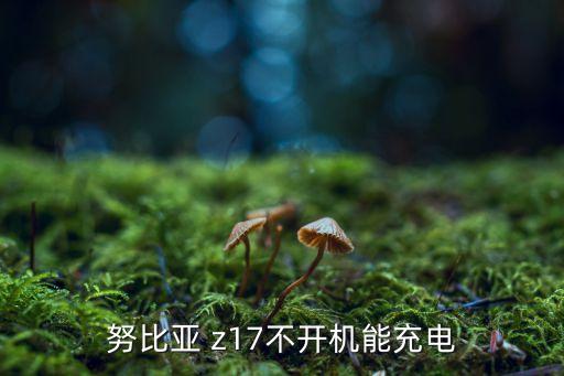 努比亞 z17不開機(jī)能充電