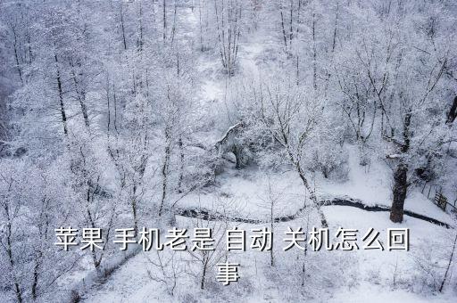  蘋果 手機(jī)老是 自動 關(guān)機(jī)怎么回事