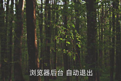  瀏覽器后臺 自動退出