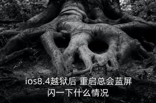 ios8.4自動(dòng)重啟,越獄完成第八步ios設(shè)備將自動(dòng)重啟