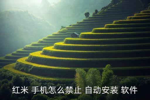 紅米 手機怎么禁止 自動安裝 軟件