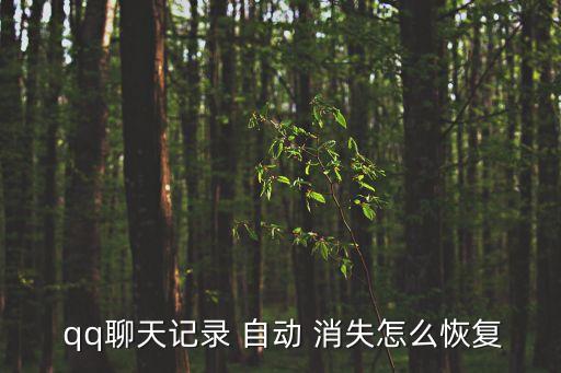  qq聊天記錄 自動(dòng) 消失怎么恢復(fù)