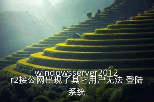 windowsserver2012r2接公網(wǎng)出現(xiàn)了其它用戶無法 登陸系統(tǒng)