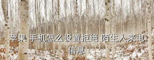 蘋果 手機怎么設(shè)置拒絕 陌生人來電信息